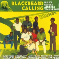 仏LP Various Blackbeard Calling: Hulks Reggae Archives Volume On PRPLP042 Patate /00230