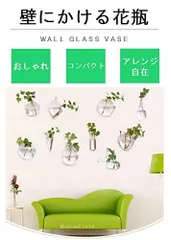 MedianField 【 ガラス 花瓶 3個 フック セット 】壁掛け ミニ 一輪挿し おしゃれ 多肉植物 エアプランツ アンティーク 雑貨 サボテン インテリア クリスタル 壁 ガーデニング (丸 六角 細)