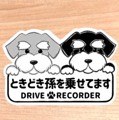 ときどき孫を乗せてます.ドライブレコーダー【シュナウザー2匹】マグネットタイプ/シールタイプ/吸盤タイプ/
