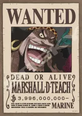 2026年最新】黒髭手配書の人気アイテム - メルカリ