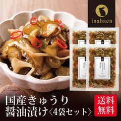 【4個セット】日本橋いなば園 国産きゅうり醤油漬け 100g ネコポス メール便送料無料