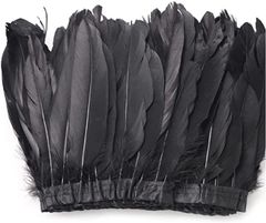 Item thumbnail for item d59f889c-c772-462f-a812-68f2244f73d8