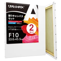 お値下げしました 油絵 キャンバス 6枚セット(F8• 2枚/ F10•4枚)