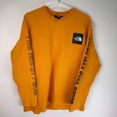 ノースフェイス カットソー ロングスリーブスリーブグラフィックティー M オレンジ NT32042 メンズ THE NORTH FACE