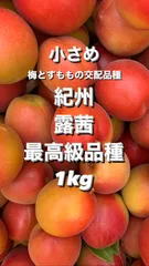 2024年最新】梅 露茜 つゆあかねの人気アイテム - メルカリ