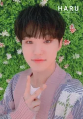 SEVENTEEN 2019 HARU HOSHI トレーディングカード 0039