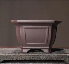 2025年最新】中国宜興 鉢の人気アイテム - メルカリ