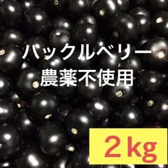 発送予定日10月下旬〜11月上旬　ハックルベリー  完熟２キロ ジャム 酵素ジュース シロップ用　栽培期間中農薬不使用
