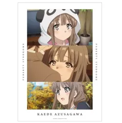 青ブタ 梓川花楓（かえで）B2ポスター3種セット 青ブタ 梓川花楓（かえで）B2ポスター3種セット - メルカリ