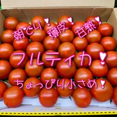 朝どりフルティカ🍅ちょっぴり小さめ！甘くて美味しい！1キロ！農家直送🚚！フルーツトマト！