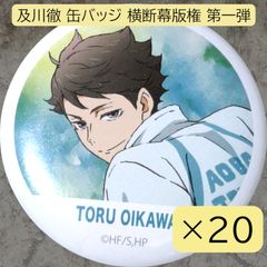 ハイキュー　岩泉一　横断幕　缶バッジ　20点セット 送料無料 24時間以内発送 20点セット 岩泉一 ハイキュー!! 缶