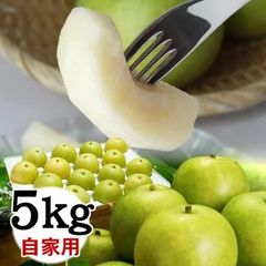 ☆9月上旬(10日頃)～下旬より収穫次第予約順に発送☆鳥取県産 20世紀梨(5ｋｇ箱12-20玉入)【訳あり自家用】果物なしナシ二十世紀梨205
