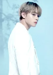 【中古】コレクションカード(男性) JO1/鶴房汐恩/CD「WANDERING」【初回限定盤A】(YRCS-90202)封入特典トレーディングカード