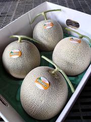 118糖度18度以上！茨城県旭村産プレミアムメロン極クインシー3L1箱4玉