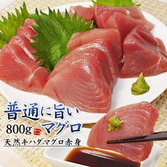 並品 天然キハダマグロ赤身 800g 解凍レシピ付 刺身 海鮮丼 手巻き寿し