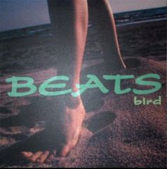 12” Bird Beats AIJT5028 SMEJ ASSOCIATE /00250