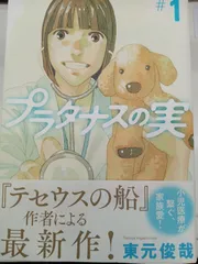 2024年最新】プラタナスの人気アイテム - メルカリ