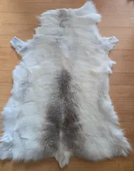 Amazon.co.jp: トナカイ毛皮 天然上質毛皮 REINDEER HIDE Pokka