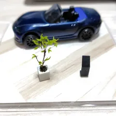 ミニチュア　トミカサイズ　観葉植物　第一弾　エバーフレッシュ