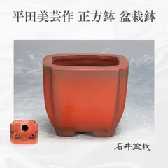 2025年最新】美芸 盆栽鉢の人気アイテム - メルカリ