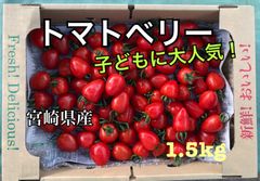 【大人気】トマトベリー(いちご形、ハート形）宮崎県産 1.5kg