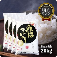 米 魚沼産コシヒカリ20kg  お米 令和6年産 白米 特A 送料無料（沖縄のぞく）
