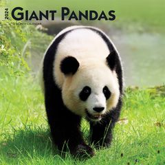 【輸入版】2024年 ジャイアント・パンダ カレンダー / ブラウントラウト 30.5 x 61 cm (Giant Pandas  Calendar)