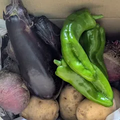【農薬不使用】野菜セット 60サイズ