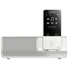 SONY ソニー リニアPCM ポータブル ICZ-R100 音楽プレーヤー - メルカリ