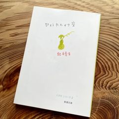 文庫本「ひょうたんから空」