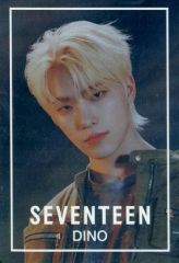 [중고] 식완 스티커 씰 디노 노멀 씰 [SVT 웨이퍼 하스 FROM PLEDIS ENTERTAINMENT SEVENTEEN]