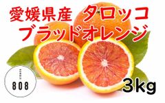 愛媛県産 ブラッドオレンジ タロッコ オレンジ みかん 家庭用 3キロ