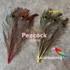 ❤️◾️⭐︎【孔雀 赤黄色セット】6枚 クジャク ピーコック 羽根 鳥の羽根 羽 釣り 飾り