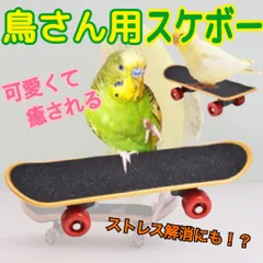 2024年最新】鳥 スケボーの人気アイテム - メルカリ