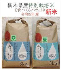 栃木県産コシヒカリ、ゆうだい21【食べくらべセット】白米3kg×2袋(計6kg)