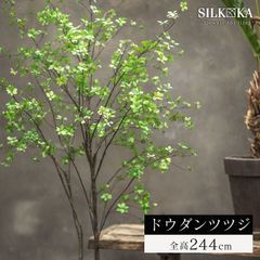大型 フェイクグリーン 「 ドウダンツツジ 244cm シルカ（Silk-ka）」 おしゃれ リアル 人工観葉植物