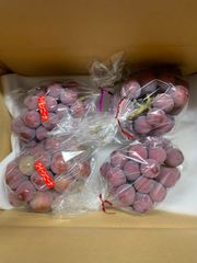 Tamaru様専用訳ありクイーンニーナ1kg～1.5kg