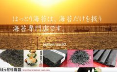 昔ながらの黒巻のり　愛知知多産　200枚　海苔　乾海苔　丸目　はっとり海苔 Amazon | はっとり海苔 乾き海苔 昔ながらの黒巻のり 愛知知多産