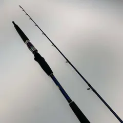 DAIWA - ●●DAIWA ダイワ ロッド 船竿 剣崎 マスＳＰ210Ｗ 05291960 ○○ DAIWA ダイワ ロッド 剣崎 マスSP210W 05291960 目立っ