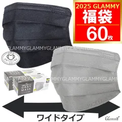 マスク 福袋 2025 【送料無料 60枚】 ラッキーパック 大きいサイズ  ワイド 不織布 プリーツタイプ プリーツ 19.5cm 195mm 幅広 MASK LABO 全国マスク工業会 花粉症 メール便 /item-0528/item-0547