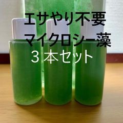 エサやり不要／楽々シーモンキー飼育【マイクロシー藻／３本セット】