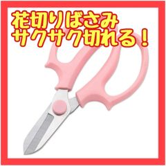 QX21　 剪定バサミ 剪定ばさみ 剪定鋏ケース 花切りばさみ 枝切りばさみ