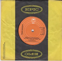 英7” Mary Mason Angel Of The Morning / Any Way That You Want Me  SEPC5552 Epic /00080