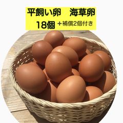 平飼い卵