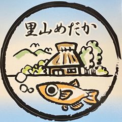 メダカ屋が使う 天日干し牡蠣殻 10〜12枚セット - メルカリ