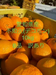 サイトでは販売し 【10キロ】高級古着等 大量 まとめ売り ダンボール 