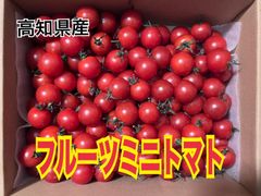 高知県産 フルーツミニトマト  1kg      　 ★9