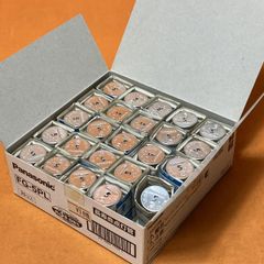 点灯管(24個入) パナソニック FG-5PL