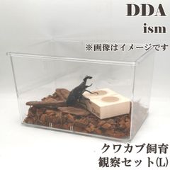 ＼5点フルセット／  飼育マニュアル付き！【DDA】クワカブ飼育・観察セット (L) ケース ゼリー えさ皿 足場木 床材 入り dda クワガタ カブトムシ 昆虫 観察  鑑賞 飼育セット 自由研究