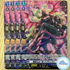 【D-BT13】艶美なる一夜 ラプチュラス　④